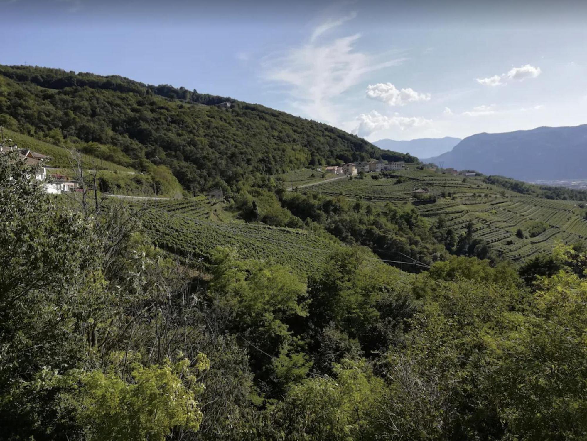 Cottage Lavanda E Rosmarino 拉维斯 外观 照片