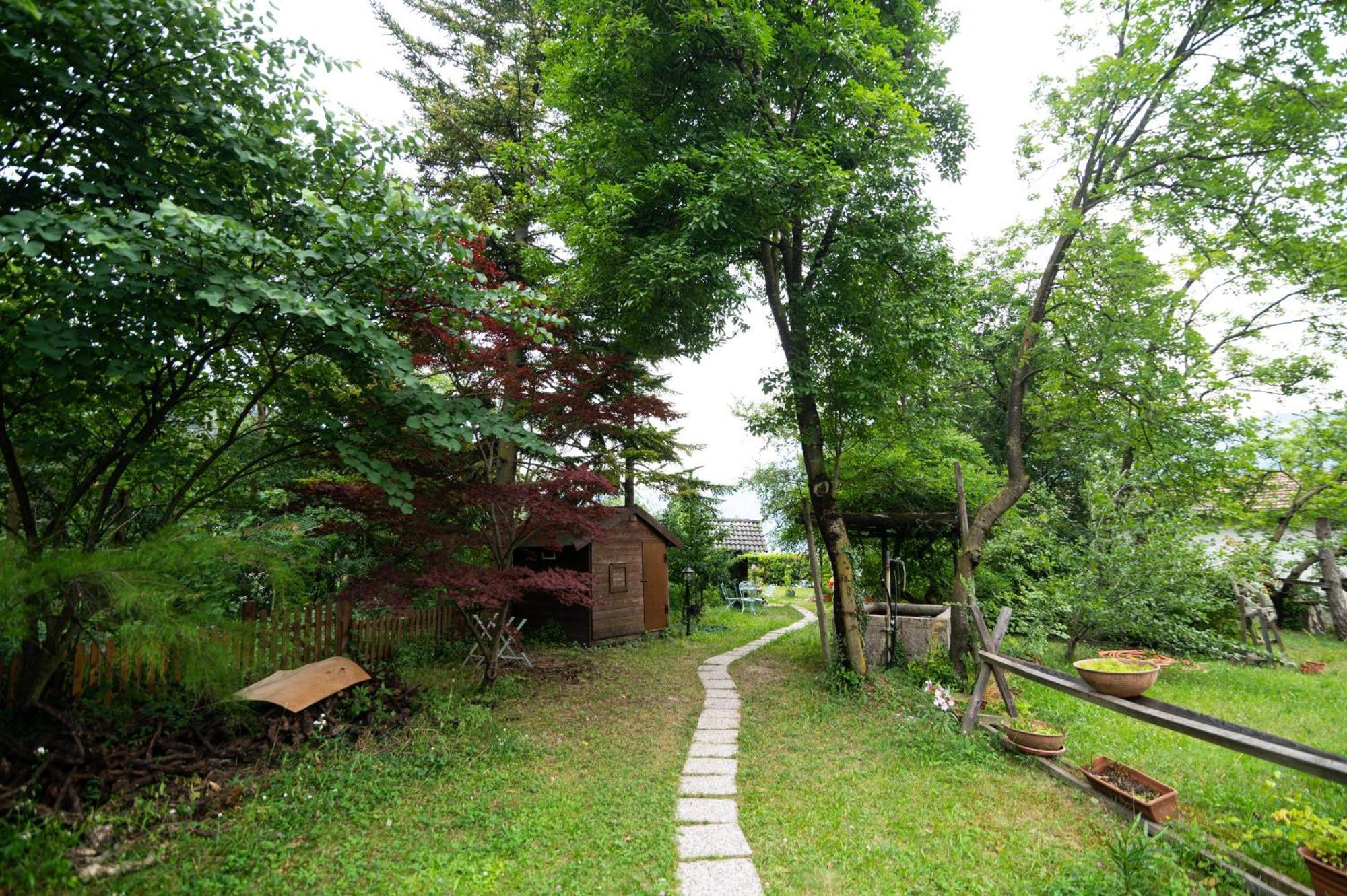 Cottage Lavanda E Rosmarino 拉维斯 外观 照片