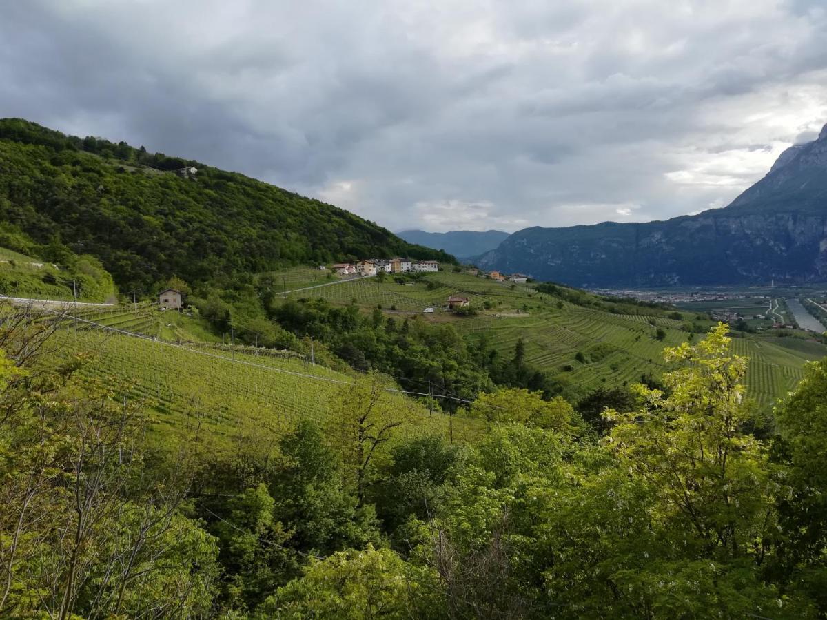 Cottage Lavanda E Rosmarino 拉维斯 外观 照片